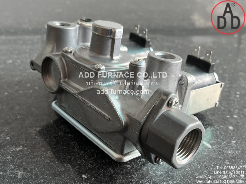 WS-102-100 AC200V (7)